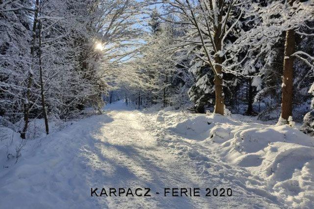 Karpacz4You "Przy Deptaku" Apartament Z Garazem 9,7 - Wiosna W Gorach 2025 Buitenkant foto